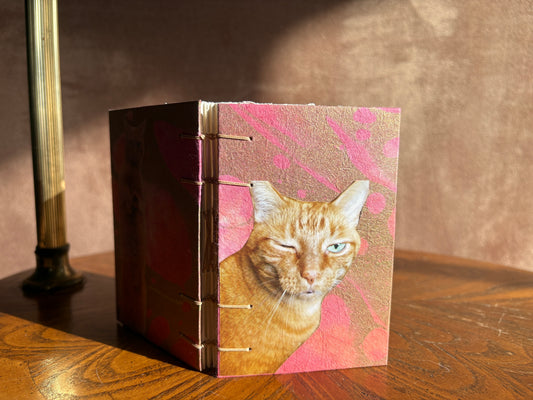Orange Cat Journal