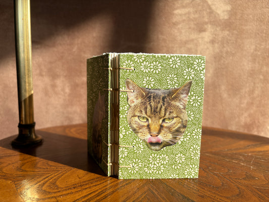 Tabby Cat Journal