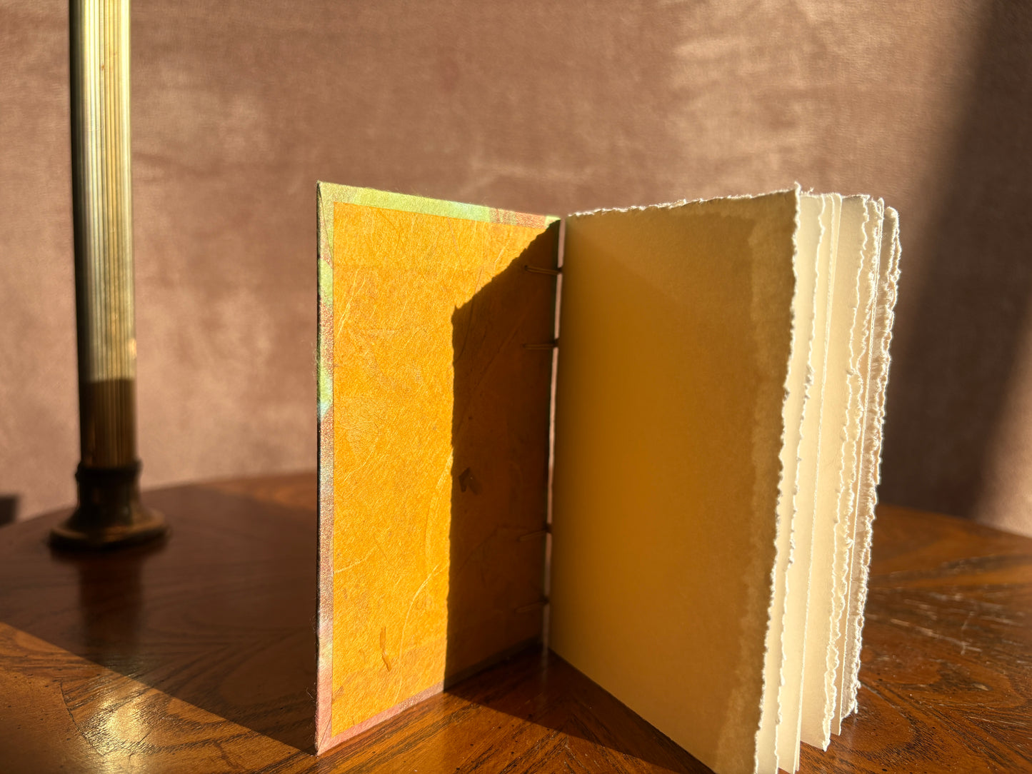 Fluffy Orange Cat Journal