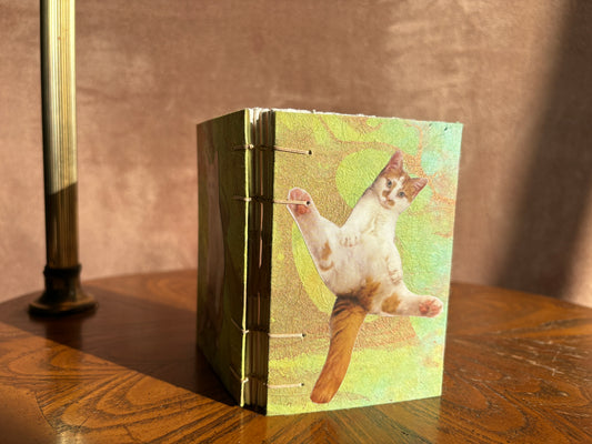 Orange with White Cat Journal