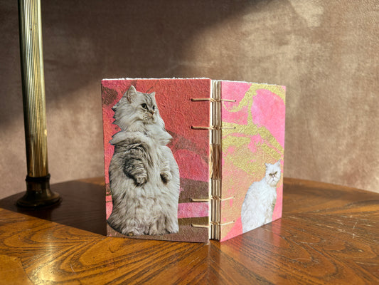 Fluffy White Cat Journal