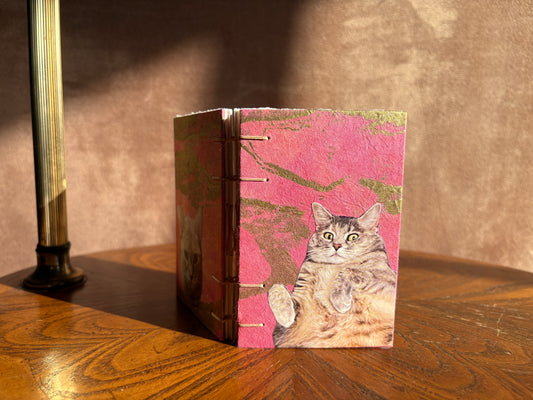 Tabby Cat Journal