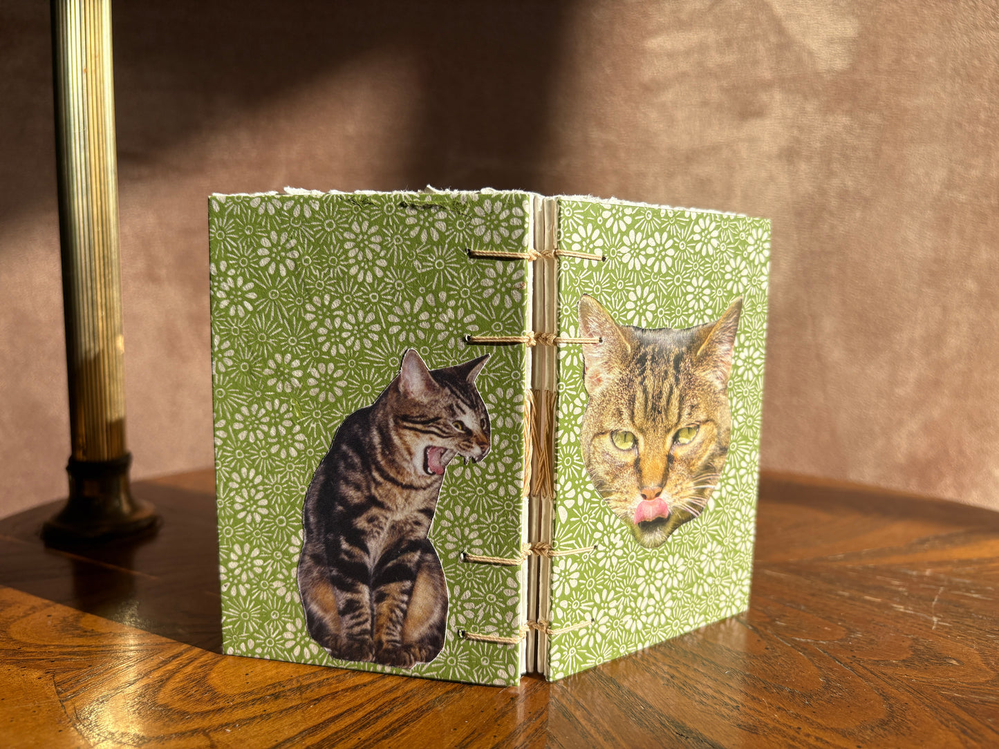 Tabby Cat Journal