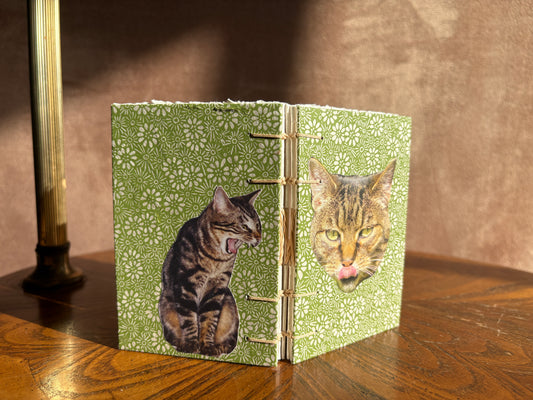 Tabby Cat Journal