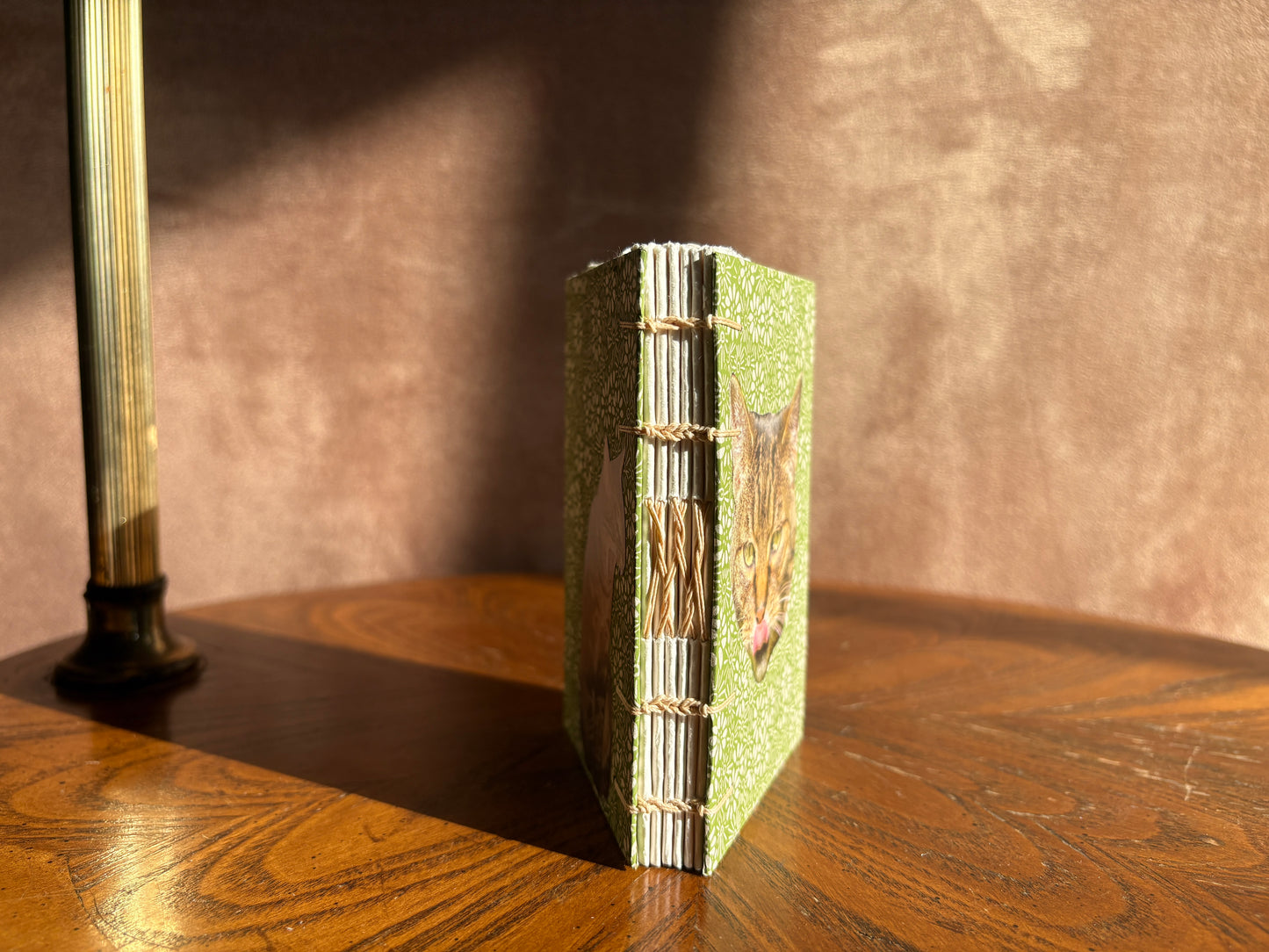 Tabby Cat Journal