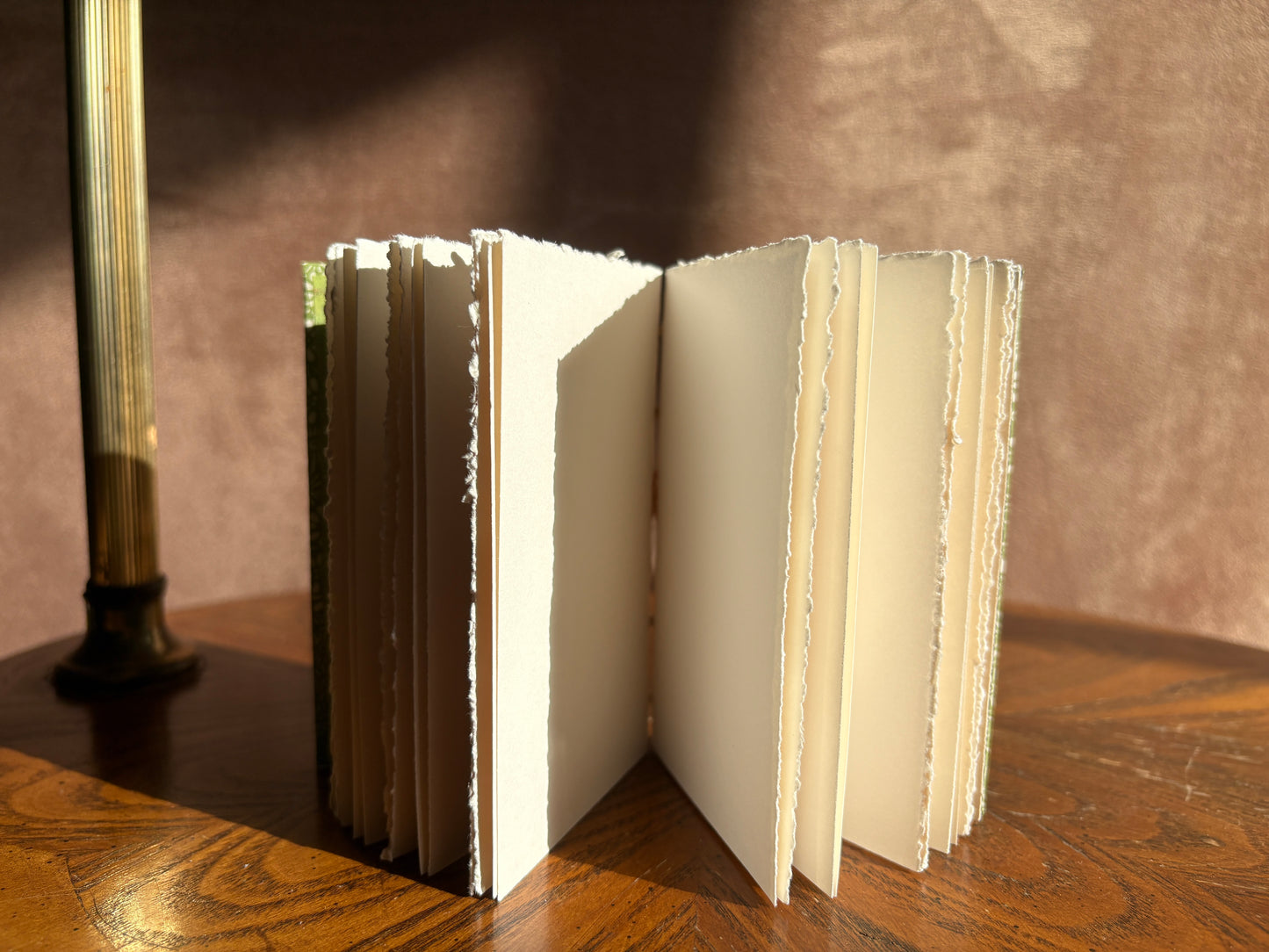 Tabby Cat Journal