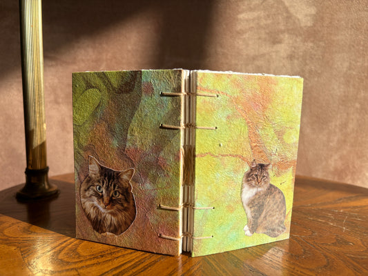Tabby Cat Journal
