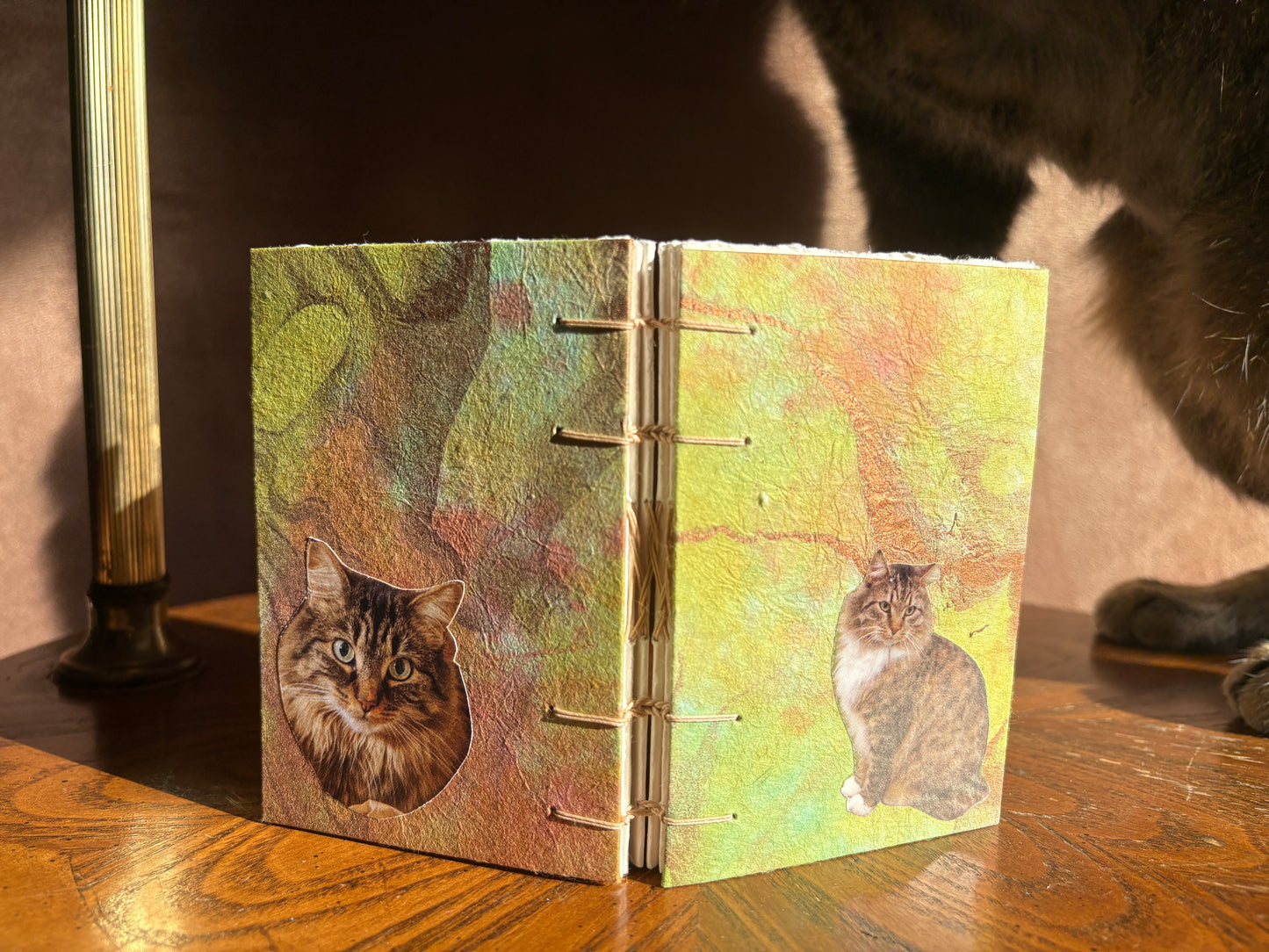 Tabby Cat Journal