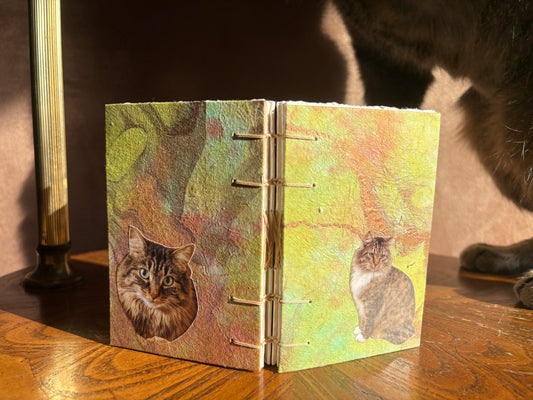 Tabby Cat Journal