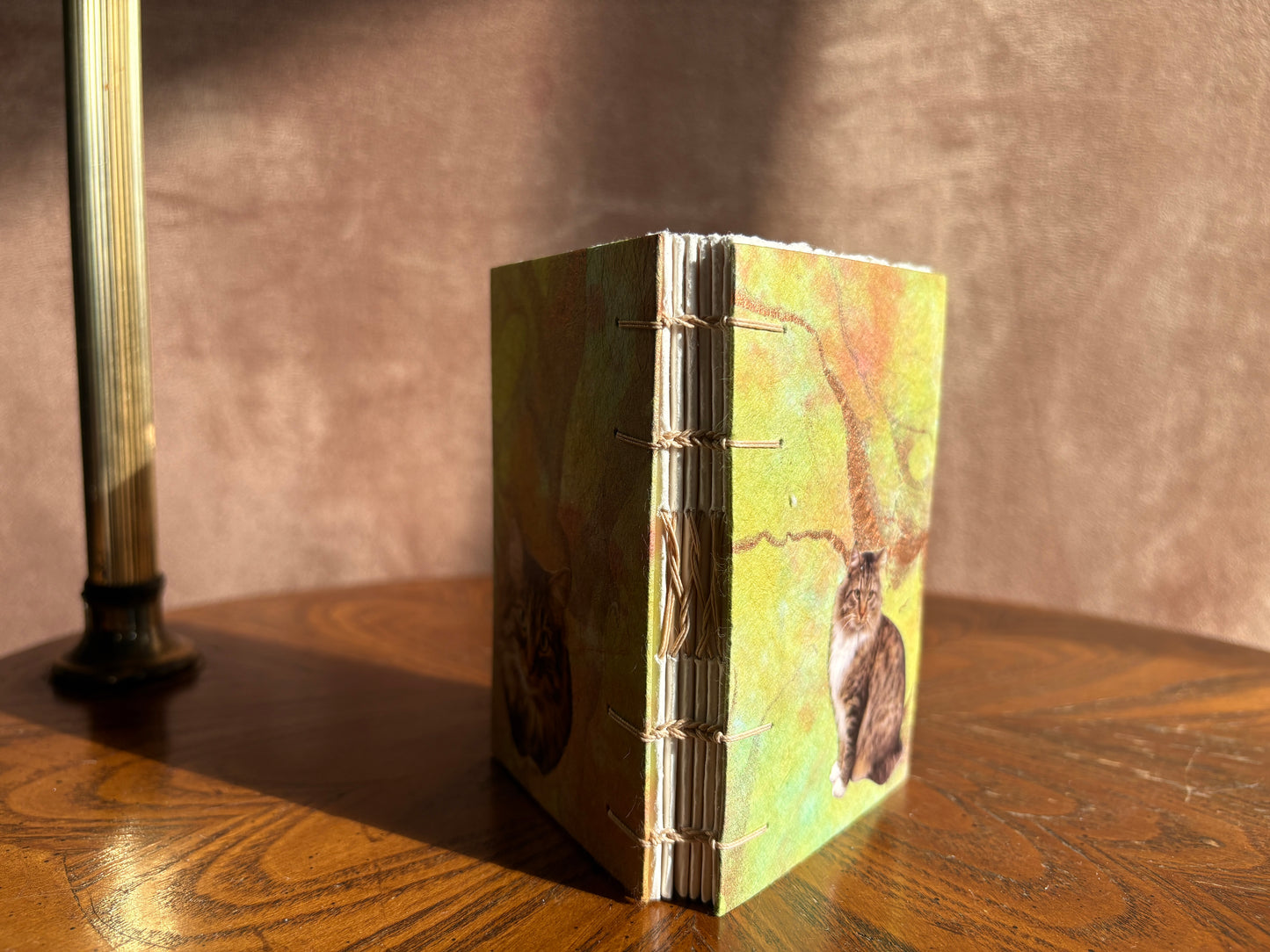 Tabby Cat Journal