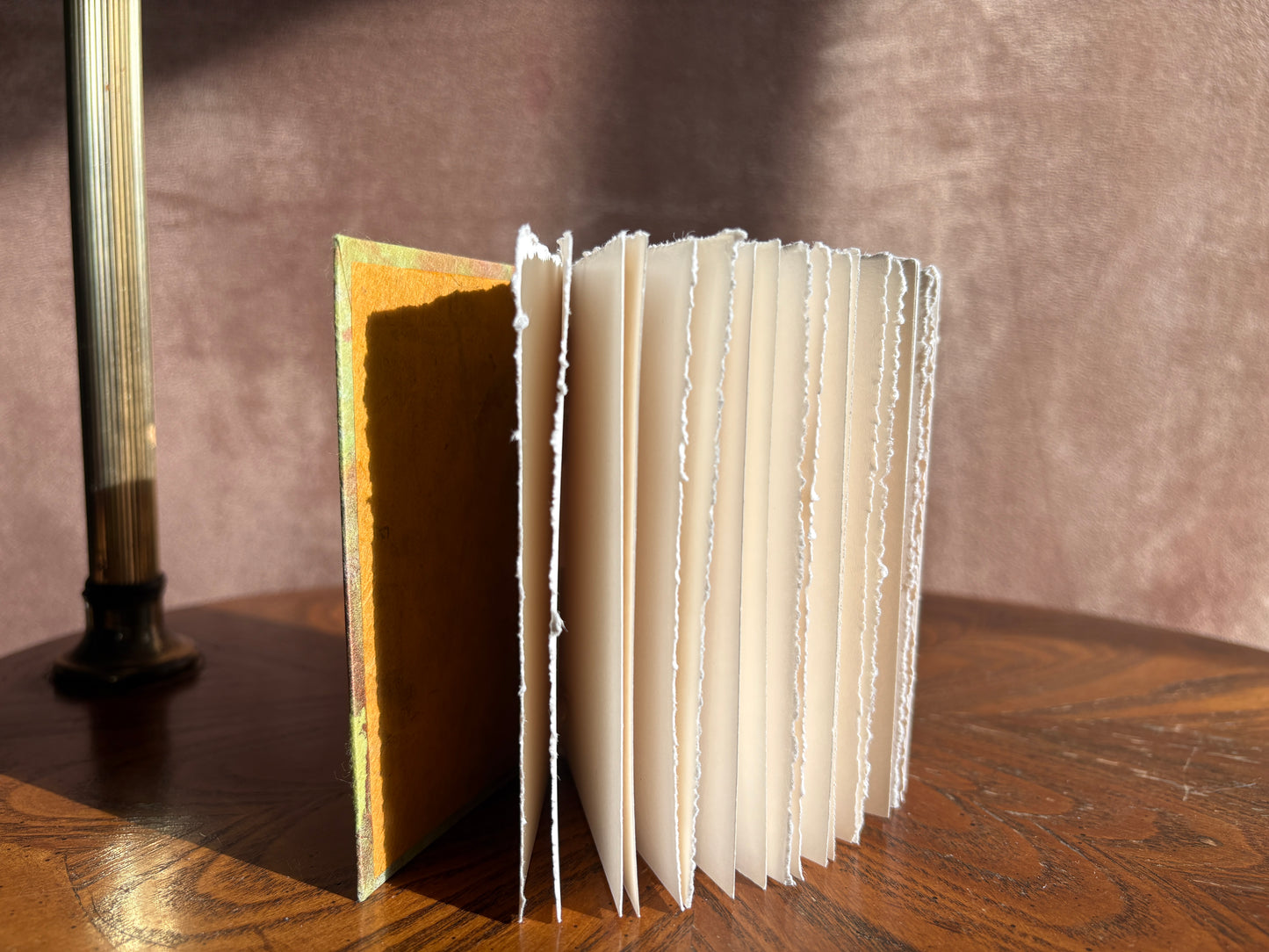 Tabby Cat Journal