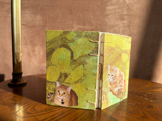 Orange Cat Journal