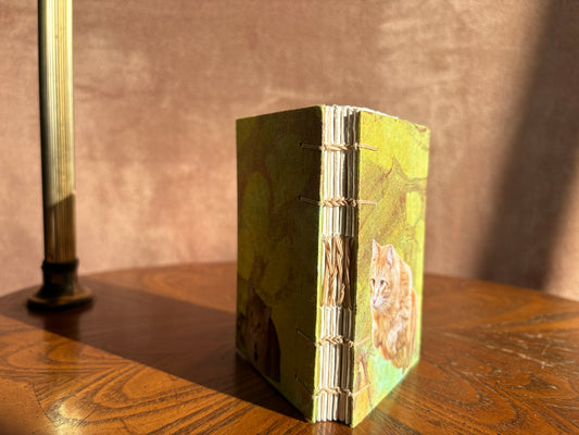 Orange Cat Journal