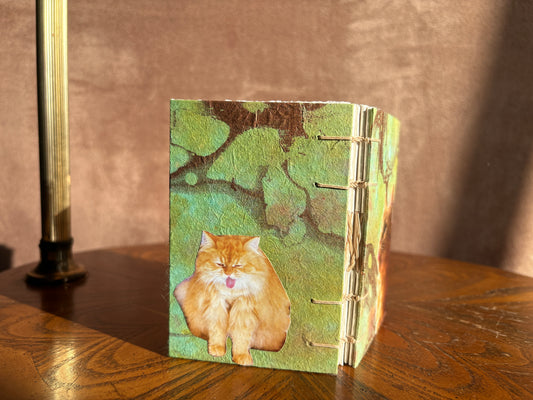 Fluffy Orange Cat Journal