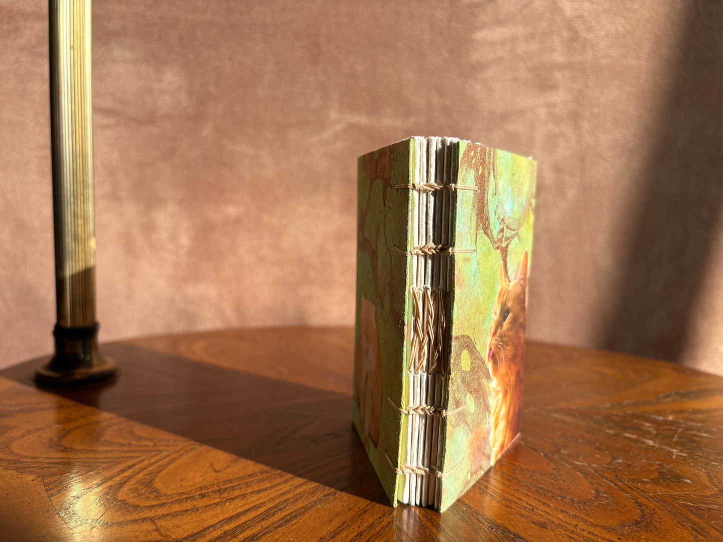Fluffy Orange Cat Journal
