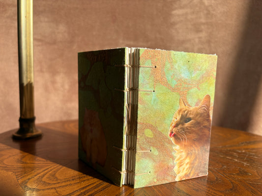 Fluffy Orange Cat Journal
