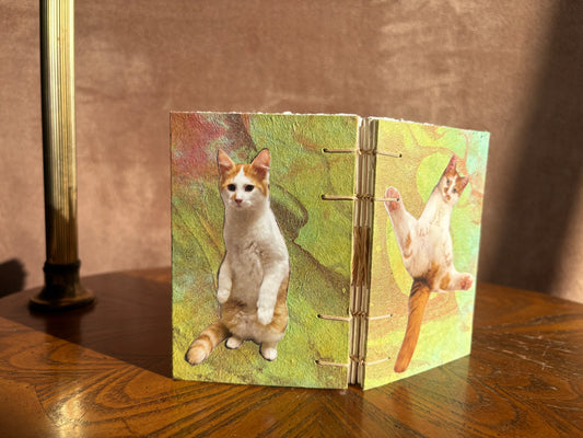 Orange with White Cat Journal