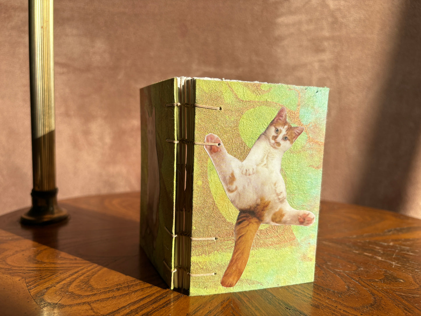 Orange with White Cat Journal