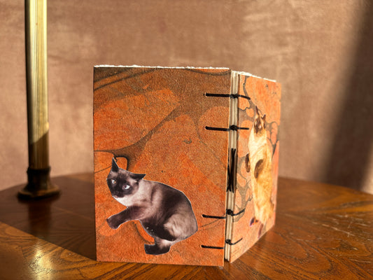 Siamese Cat Journal