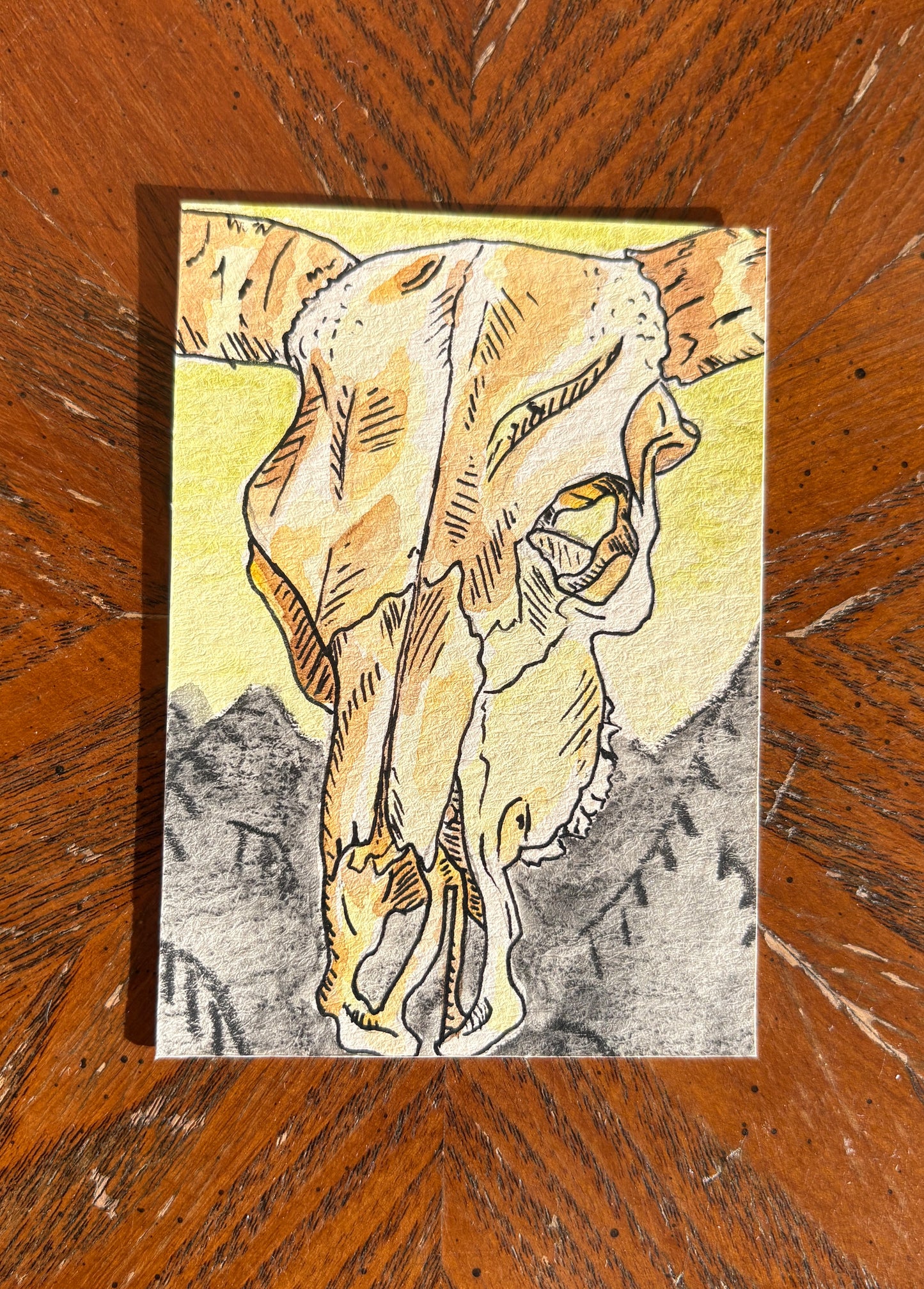 Cow Skull