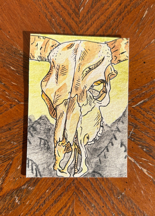 Cow Skull