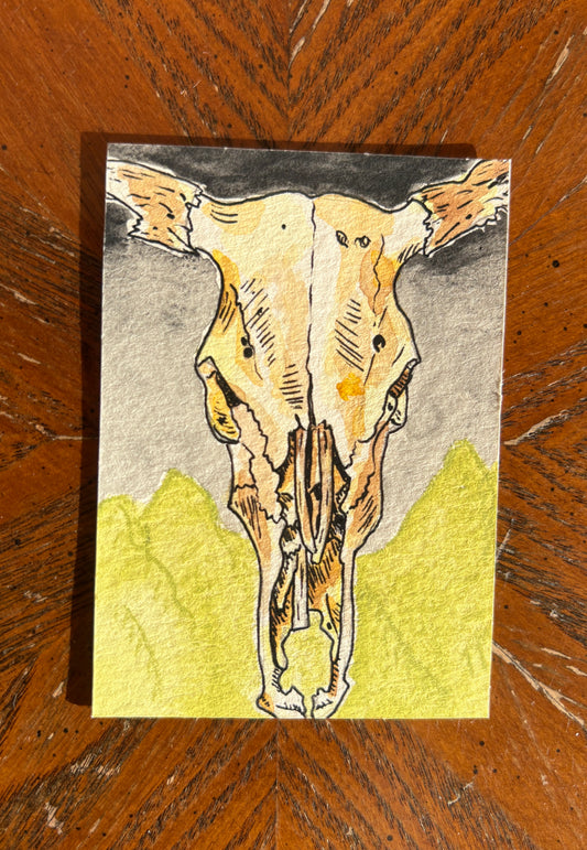 Cow Skull