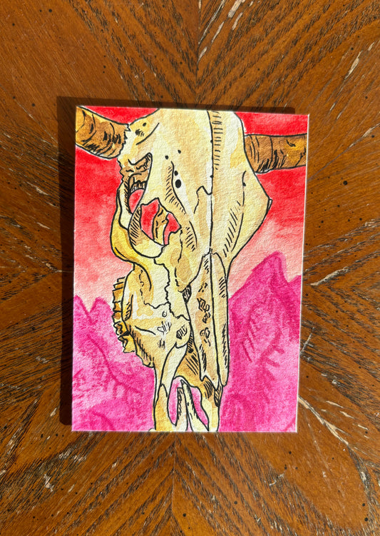 Cow Skull