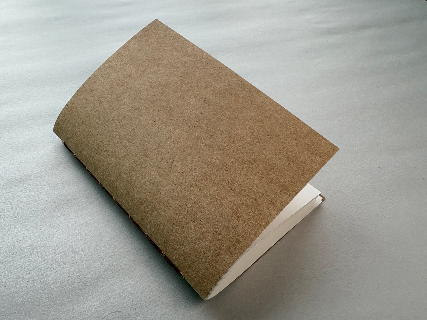 Passport Insert